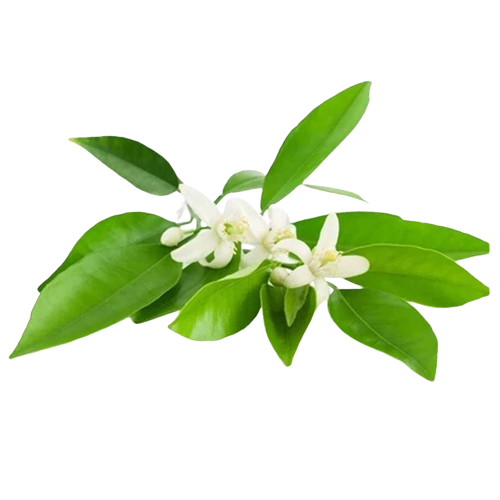 Água Floral Neroli
