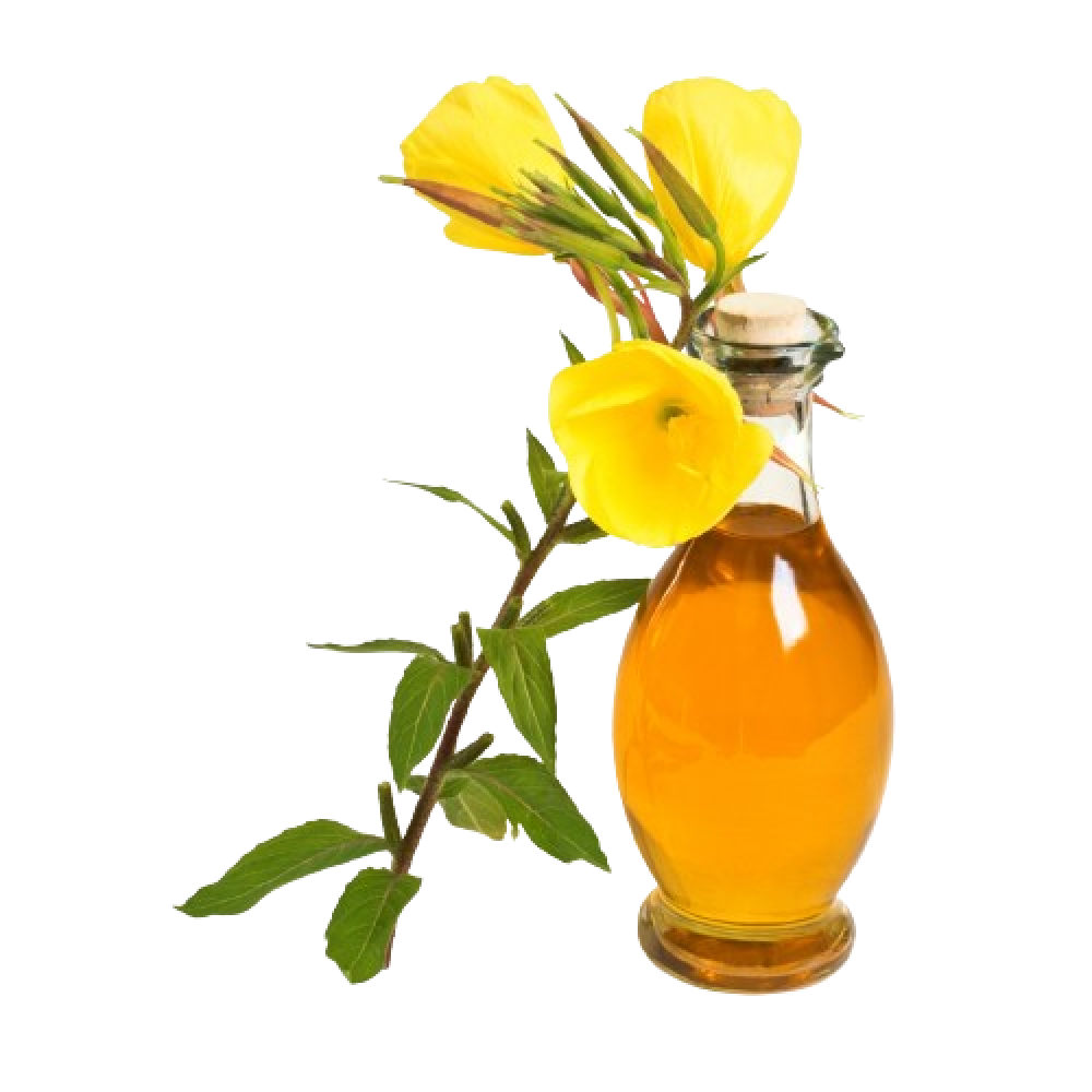Evening Primrose Vegetable Oil