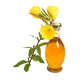 Evening Primrose Vegetable Oil