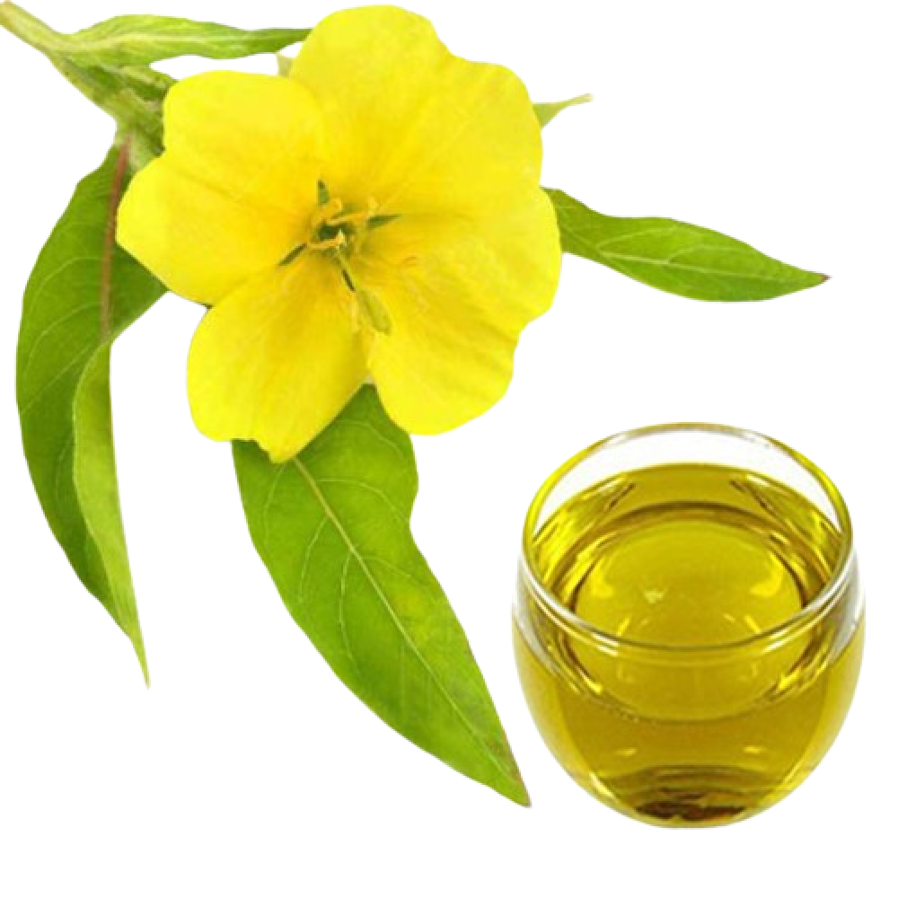 Evening Primrose Vegetable Oil