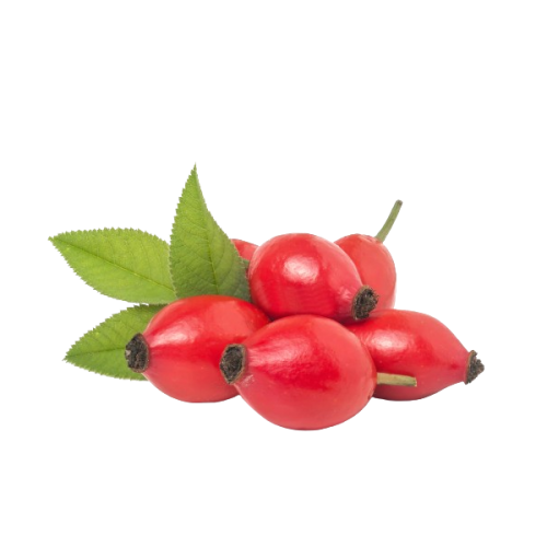 Organic Rosehip Oil