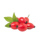 Organic Rosehip Oil