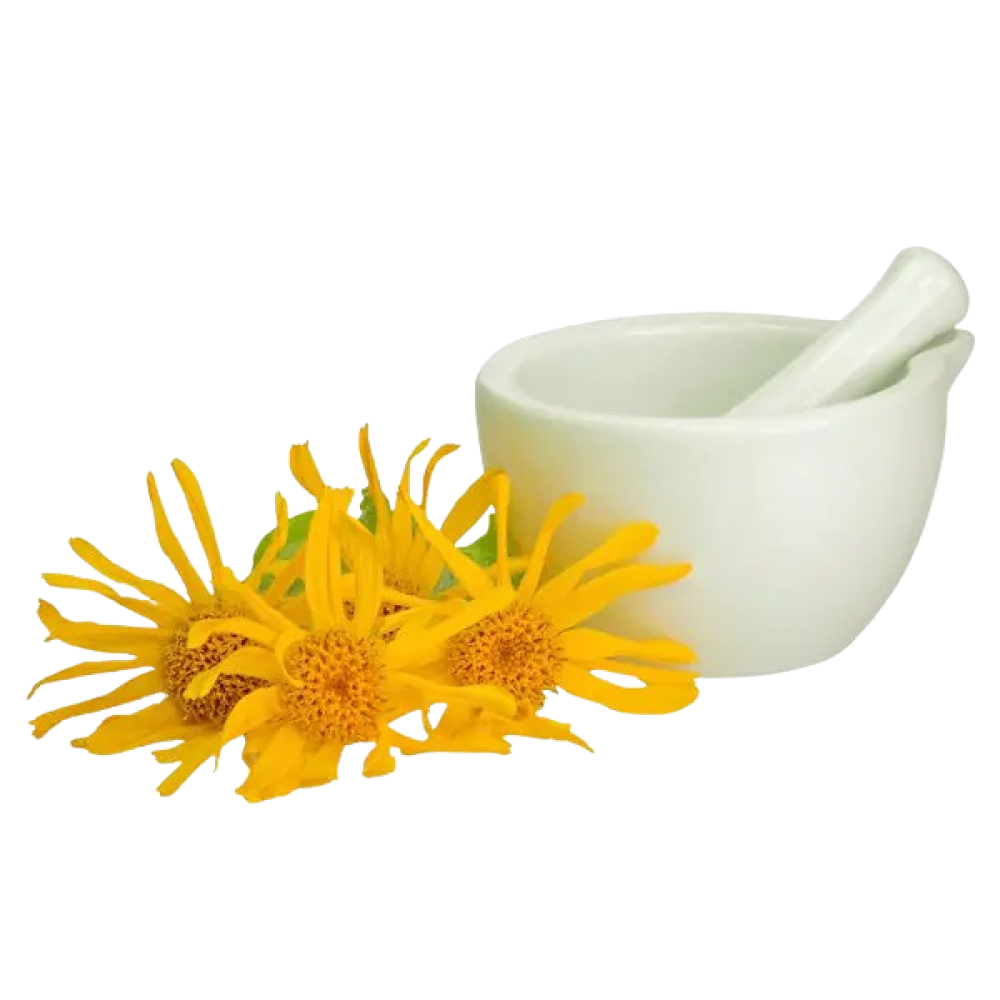 Aceite de Árnica (Macerado)